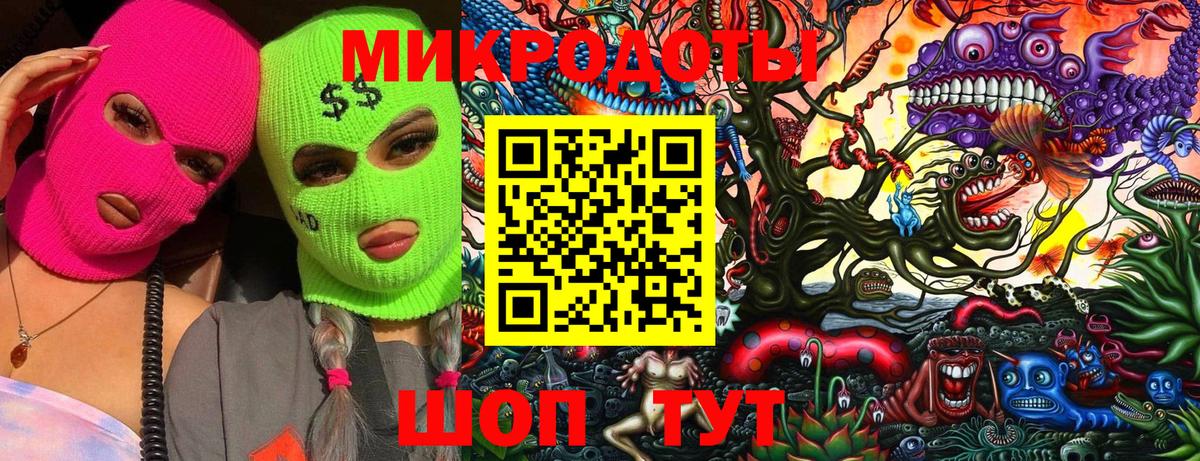 Галлюциногенные грибы Psilocybine cubensis Волжский