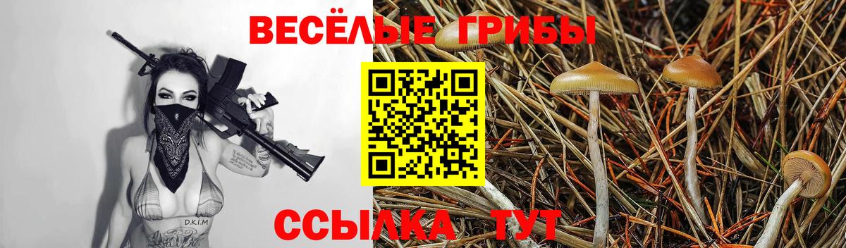 Псилоцибиновые грибы GOLDEN TEACHER  Псилоцибиновые грибы Magic Shrooms  Волжский  Вход с VPN 